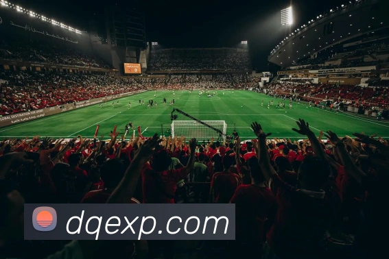 乐动网站APP 封面图